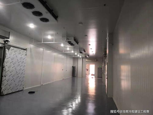 食品廠安裝建造2000噸牛肉低溫冷庫費用造價